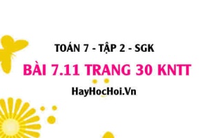 Bài 7.11 trang 30 Toán 7 Tập 2 Kết nối tri thức